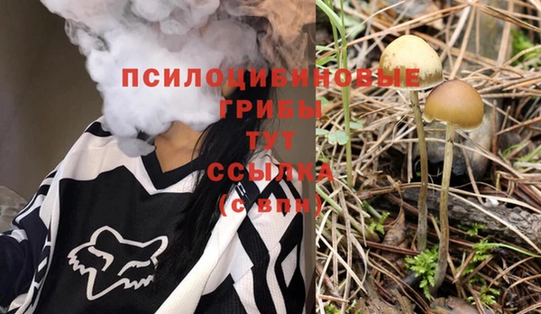 кристаллы Алзамай