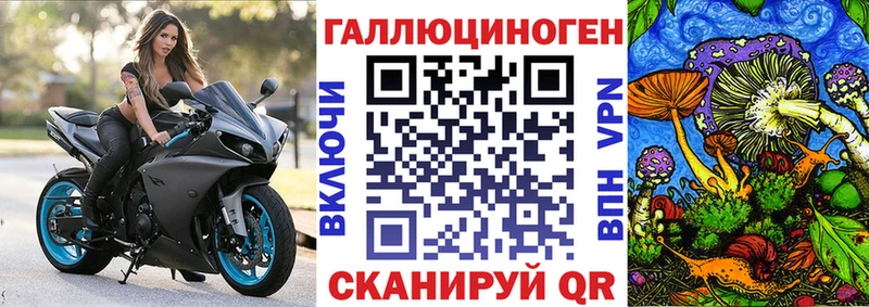 KRAKEN как зайти  Орлов  Псилоцибиновые грибы мицелий  магазин  наркотиков 